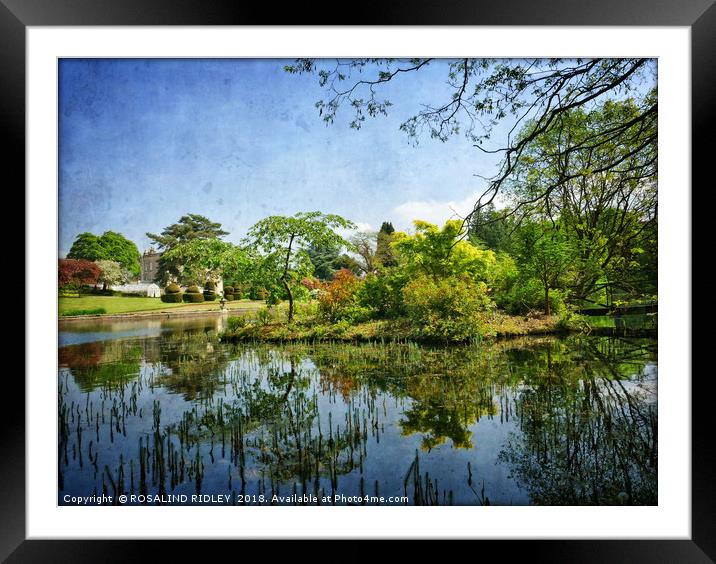 "Blue sky reflections at Thorp Perrow" Framed Mounted Print by ROS RIDLEY