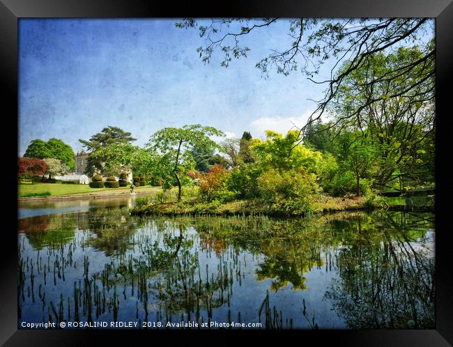 "Blue sky reflections at Thorp Perrow" Framed Print by ROS RIDLEY