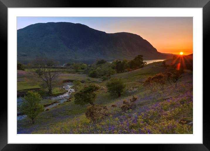 Rannerdale Valley Bluebells at Sunset Framed Mounted Print by Derek Beattie