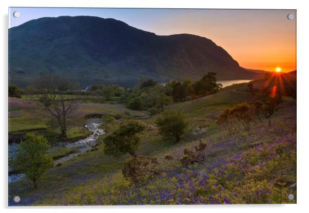 Rannerdale Valley Bluebells at Sunset Acrylic by Derek Beattie