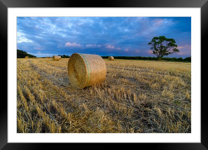 Mclaren vale dawn Adelaide SA Framed Mounted Print by Michael Brookes