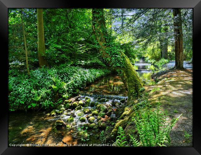 "Dappled sunshine at the stream" Framed Print by ROS RIDLEY
