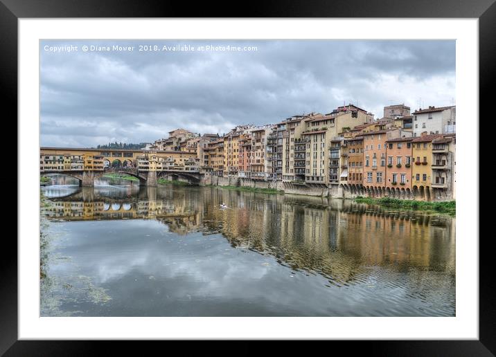 Ponte Vecchio and the river Arno Florence. Framed Mounted Print by Diana Mower