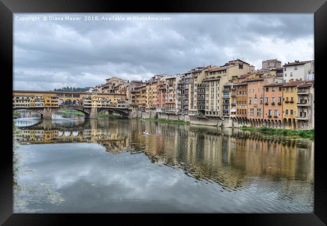 Ponte Vecchio and the river Arno Florence. Framed Print by Diana Mower