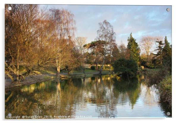 The Lake at Hatherley Park Cheltenham Acrylic by Susan Snow