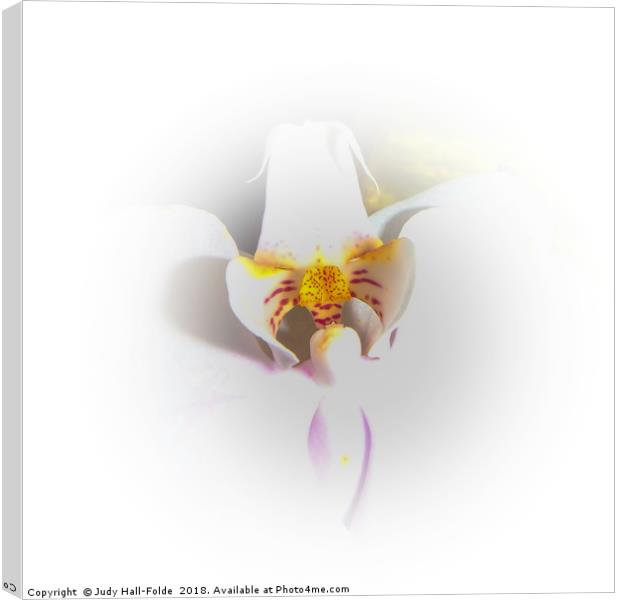 Heart of the Orchid Canvas Print by Judy Hall-Folde
