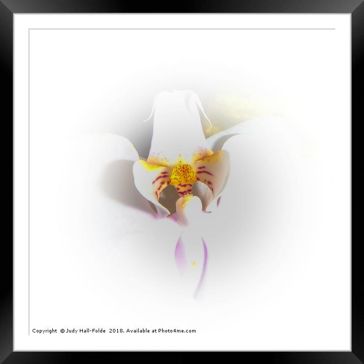 Heart of the Orchid Framed Mounted Print by Judy Hall-Folde