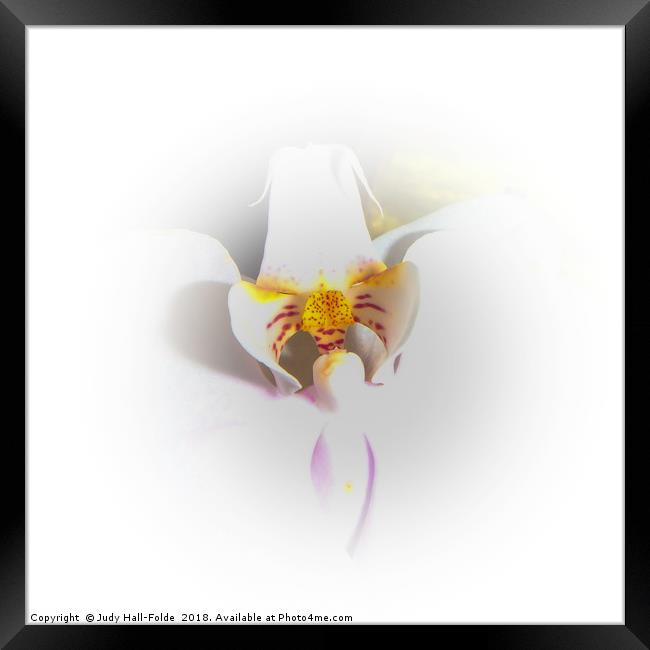 Heart of the Orchid Framed Print by Judy Hall-Folde