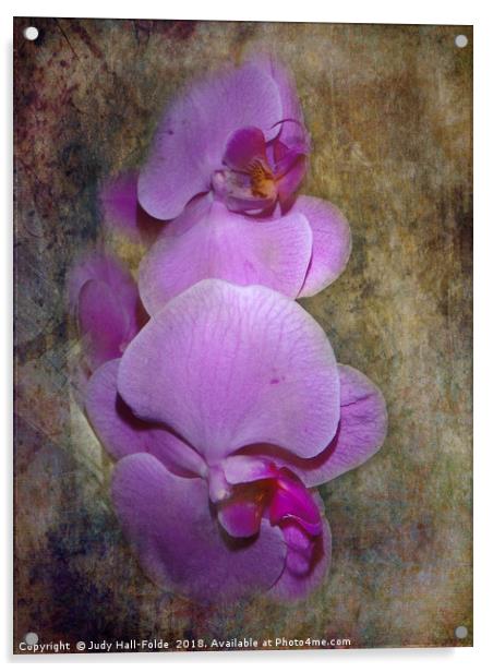 Purple Orchids Acrylic by Judy Hall-Folde