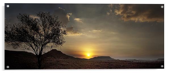 Desert Sunset Acrylic by Simon Curtis