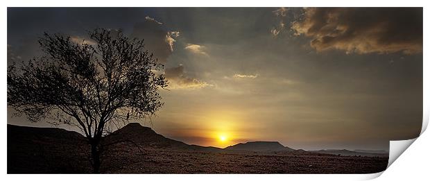 Desert Sunset Print by Simon Curtis