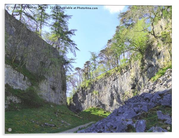 Trow Gill Gorge, near Clapham, North Yorkshire Acrylic by Stephen Carvell