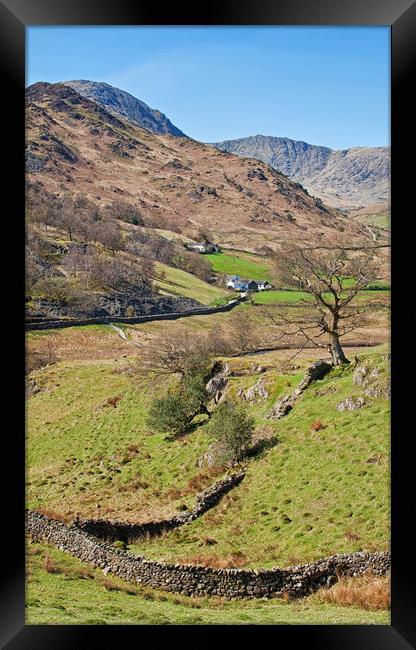 Langdales in portrait Framed Print by David McCulloch