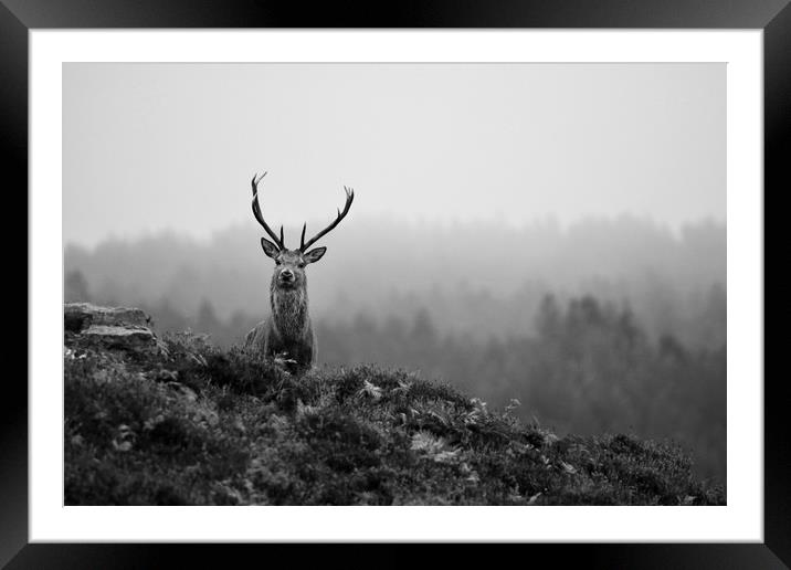 Above the Mist  Framed Mounted Print by Macrae Images