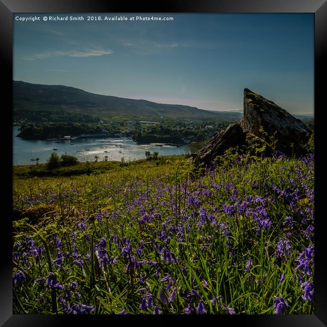 Portree from a carpet of Bluebells on Ben Chracaig Framed Print by Richard Smith