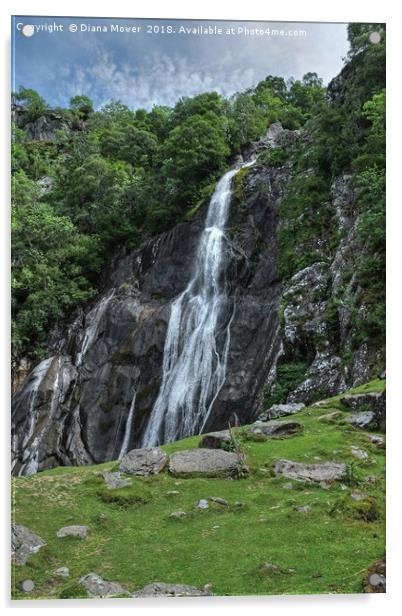 Aber Falls Snowdonia  Acrylic by Diana Mower