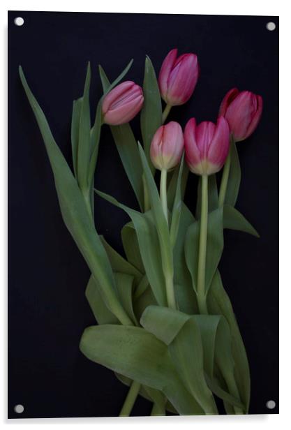 Tulip bouquet Acrylic by Larisa Siverina
