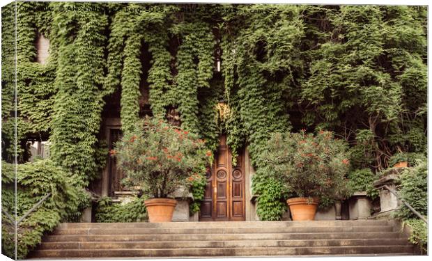 Foliage covered building Canvas Print by Alexandre Rotenberg