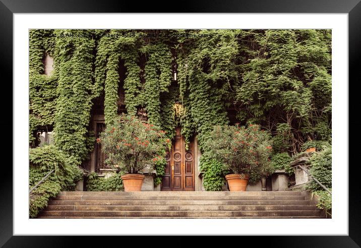 Foliage covered building Framed Mounted Print by Alexandre Rotenberg