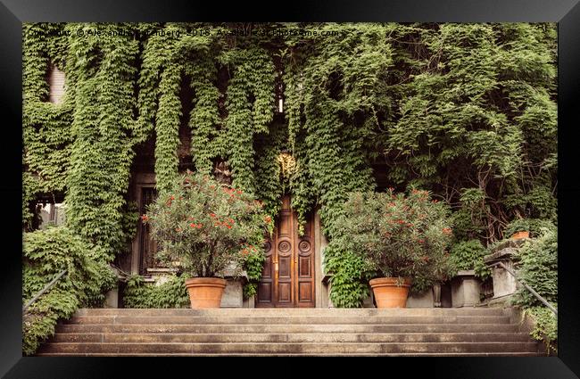 Foliage covered building Framed Print by Alexandre Rotenberg