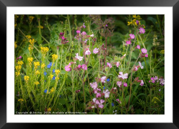 Wildflowers by the Roadside Framed Mounted Print by Jim Key