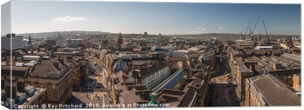 Newcastle from Above Canvas Print by Ray Pritchard