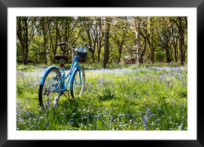 Bike among the Bluebells. Framed Mounted Print by Paula Sparkes