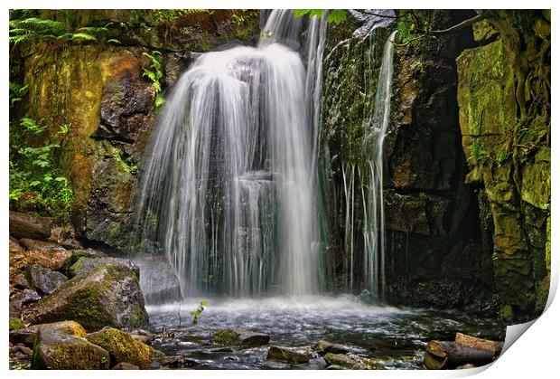 Lumsdale Falls in Summer                       Print by Darren Galpin