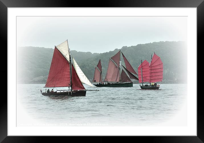 Brixham Heritage sailing boats  Framed Mounted Print by Rosie Spooner
