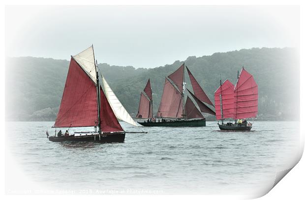 Brixham Heritage sailing boats  Print by Rosie Spooner