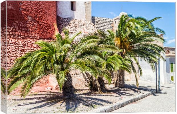 Ibiza Palm Trees Canvas Print by Steve Purnell