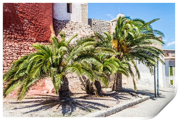 Ibiza Palm Trees Print by Steve Purnell