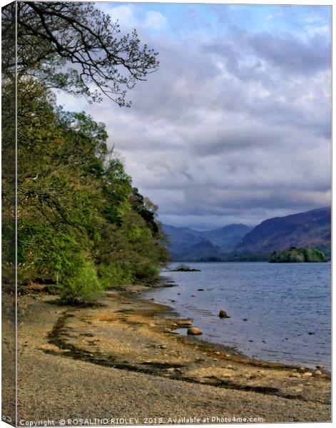 "Trees at Derwent water" Canvas Print by ROS RIDLEY
