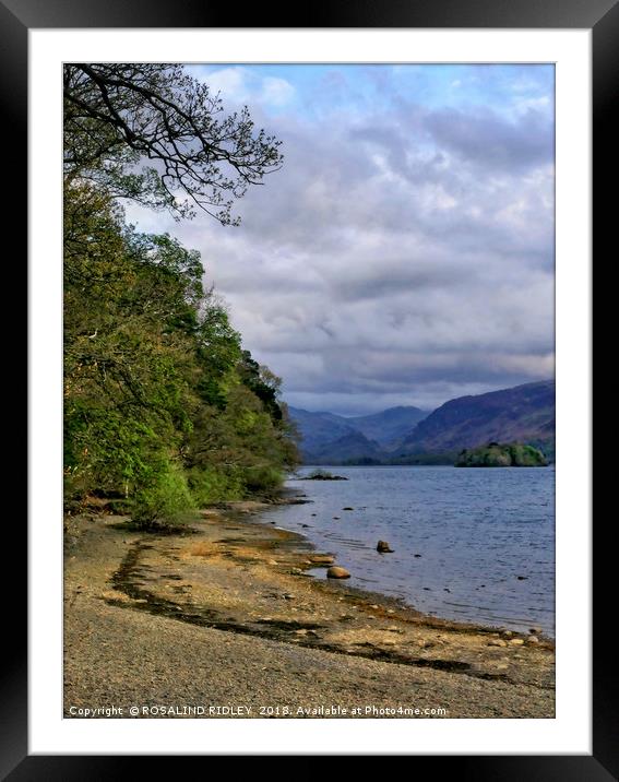 "Trees at Derwent water" Framed Mounted Print by ROS RIDLEY