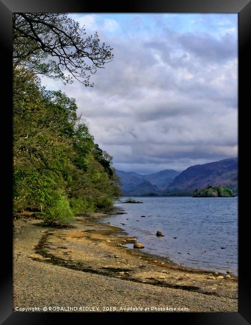 "Trees at Derwent water" Framed Print by ROS RIDLEY
