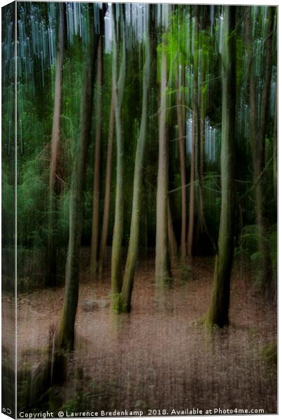 Ghostly trees Canvas Print by Lawrence Bredenkamp