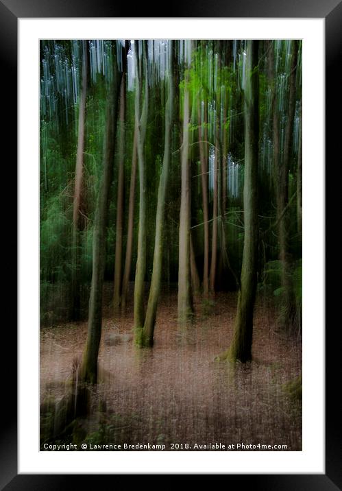 Ghostly trees Framed Mounted Print by Lawrence Bredenkamp
