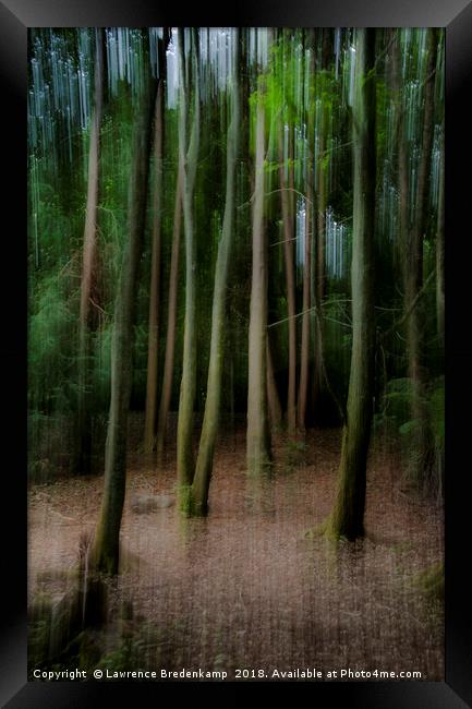 Ghostly trees Framed Print by Lawrence Bredenkamp