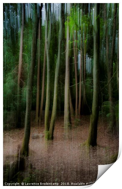 Ghostly trees Print by Lawrence Bredenkamp