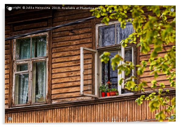 Three Flower Pots On A Window Acrylic by Jukka Heinovirta