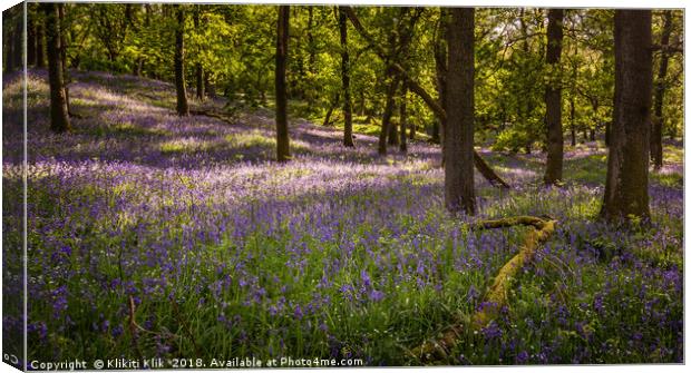 Bluebell Woods Canvas Print by Angela H