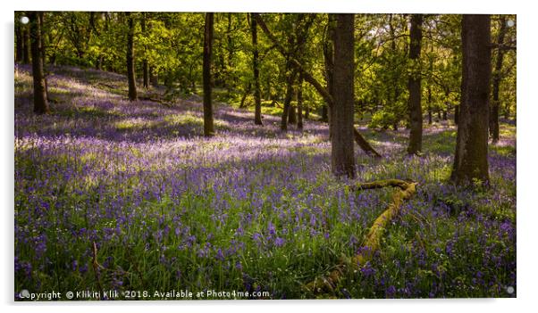 Bluebell Woods Acrylic by Angela H
