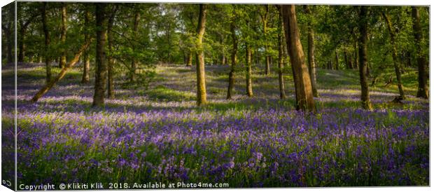 Bluebell Wood Canvas Print by Angela H