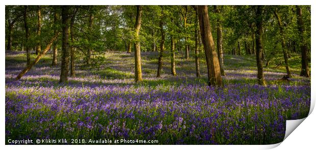 Bluebell Wood Print by Angela H