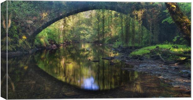 Rainforest bridge Canvas Print by Rory Trappe