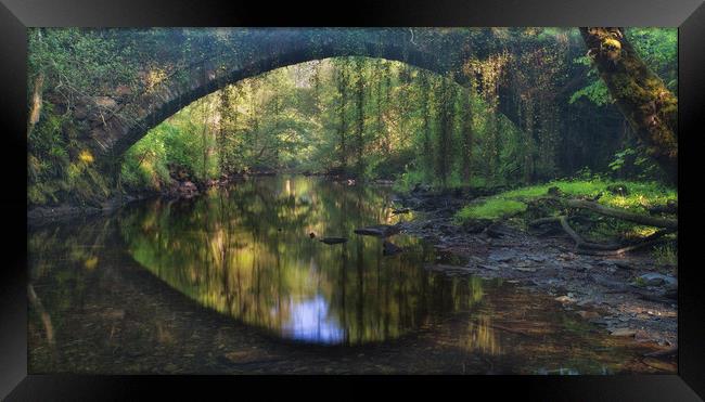 Rainforest bridge Framed Print by Rory Trappe