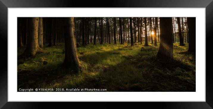 Sunset in the forest Framed Mounted Print by Angela H