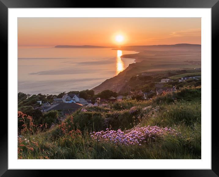 Sea Pinks at sunset Framed Mounted Print by Alf Damp