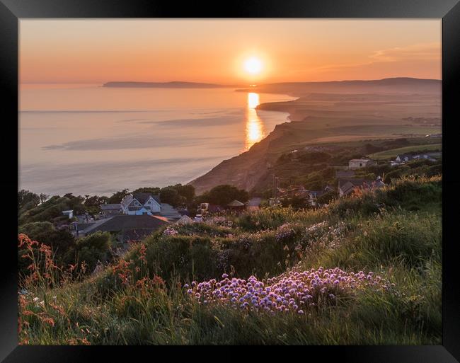 Sea Pinks at sunset Framed Print by Alf Damp
