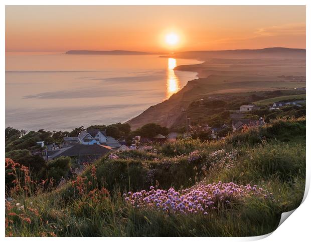 Sea Pinks at sunset Print by Alf Damp